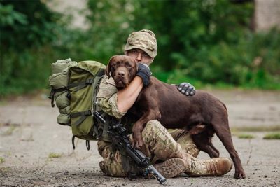 Soldier sitting on the ground with a chocolate Labrador retriever standing in his lap.