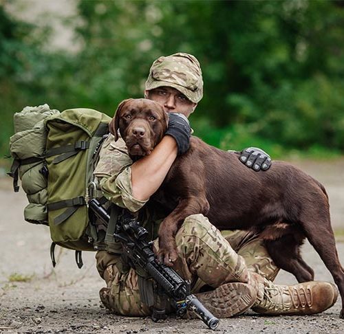 military service dog training