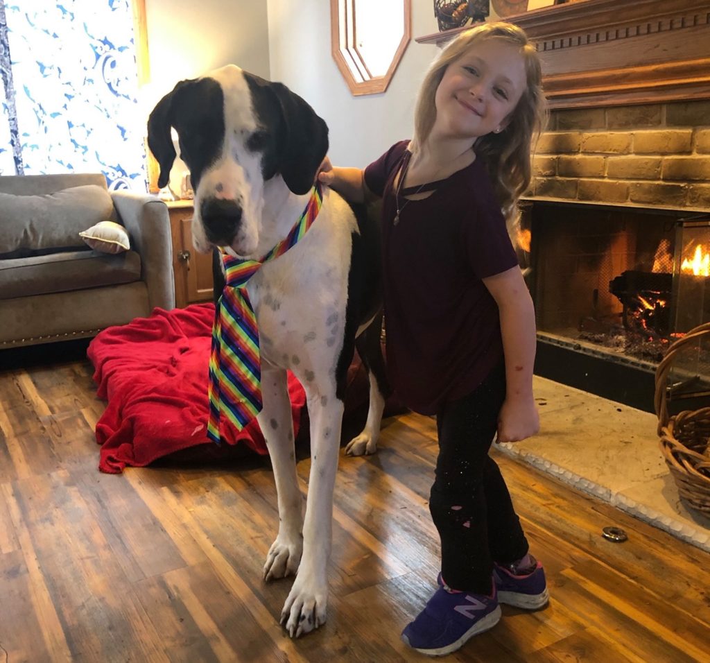 service dog breeds for mobility