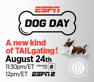 cavalier king charles spaniel adult