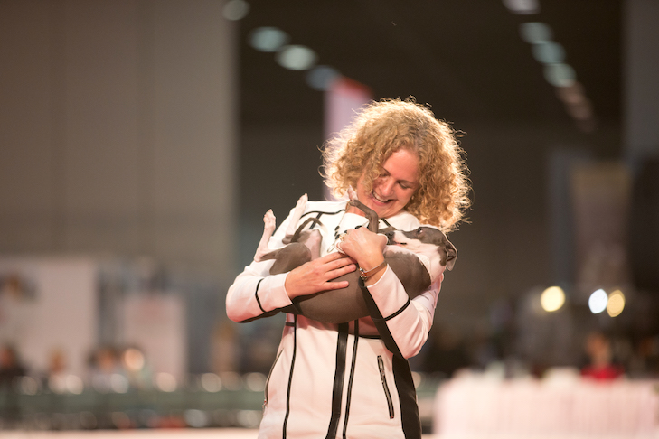 CH Alura Warwick Thunder Down Under For Clovelly, Italian Greyhound; Toy Group judging for the National All-Breed Puppy and Junior Stakes at the 2017 AKC National Championship presented by Royal Canin, Orlando, FL.
