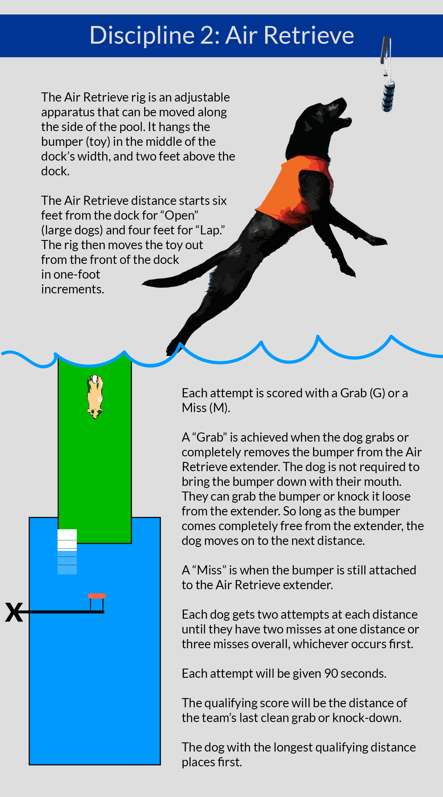 Diving Dogs 101 How to Compete in Dock Diving StepByStep American