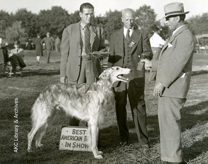 Mr Borzoi Louis Murr The Russian Wolfhound Breeder And Judge