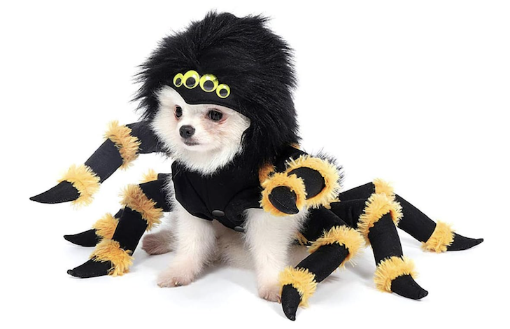 thumbnail image 2 of Marryso Large Scary Halloween Spider Pet Costume For Dogs & Cats, Unique & Funny Outdoor Decoration Transformation Dress-Up For Halloween Party 2 of 14