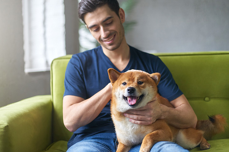 Man sitting on the couch with a happy Shiba Inu.