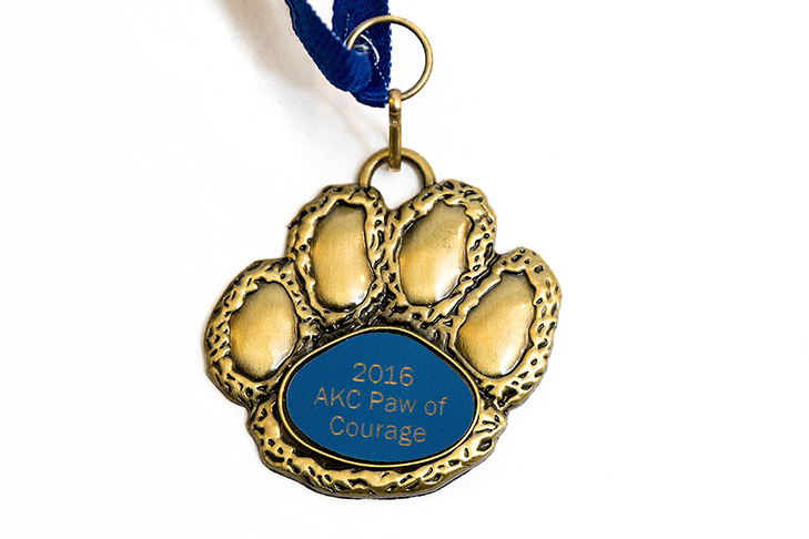 2016 Paw of Courage medal.