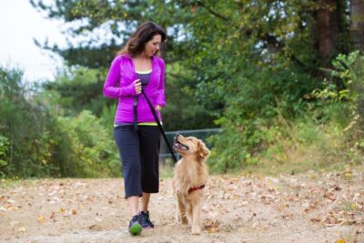 Golden Retriever being walked and trained by a woman outdoors.
