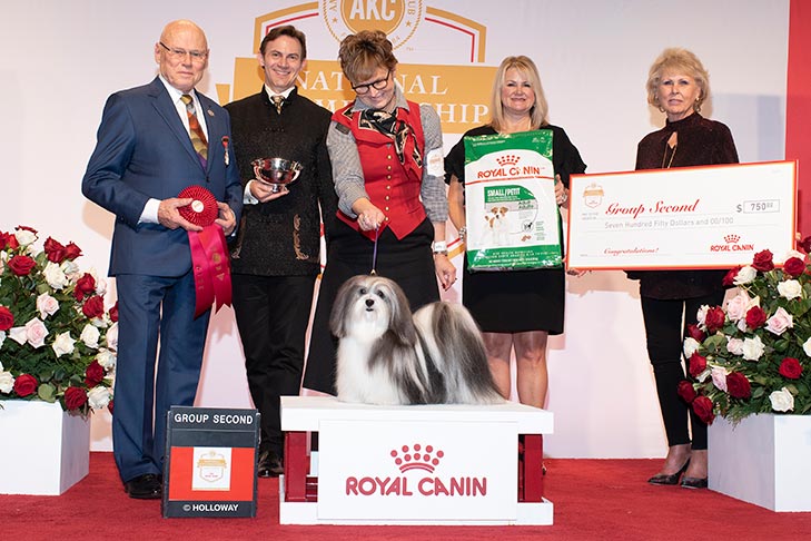 Toy Group Second and Best of Breed: GCHP CH Oeste's In The Name Of Love (Bono), Havanese; 2019 AKC National Championship presented by Royal Canin, Orlando, FL.