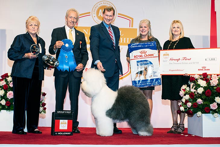 Herding Group First and Best of Breed: GCHG CH Bagatelle Moonlight Drive, Old English Sheepdog; 2019 AKC National Championship presented by Royal Canin, Orlando, FL.