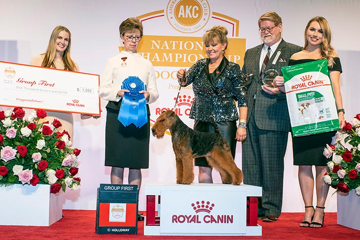 Terrier Group First and Best of Breed: GCHG CH Brightluck Money Talks, Welsh Terrier; 2019 AKC National Championship presented by Royal Canin, Orlando, FL.