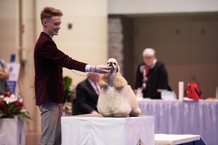 Best Junior Handler: Johnathon Wehry handling GCHS CH Cameo Siloet's Gold Coast Legacy (Cocker Spaniel, ASCOB); Junior Showmanship Finals at the 2019 AKC National Championship presented by Royal Canin, Orlando, FL.