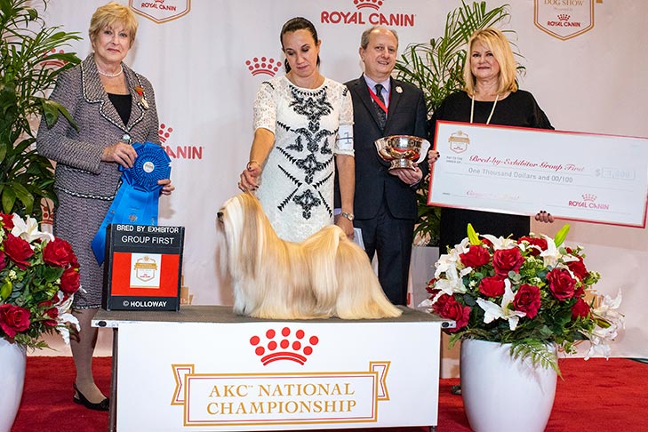 BBE Non-Sporting Group First, Best Bred By in Breed/Variety, and Select Bitch: Malefica Del Alcazar, Lhasa Apso; 2019 AKC National Championship presented by Royal Canin, Orlando, FL.