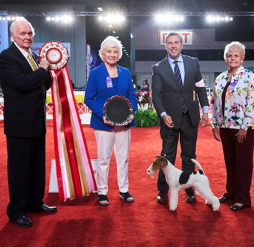 barbie and tracy dog