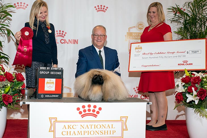 Best in Show, Toy Group First, BBE Toy Group Second, Best of Breed, and Best Bred By in Breed/Variety: GCH CH Pequest Wasabi, Pekingese; 2019 AKC National Championship presented by Royal Canin, Orlando, FL.