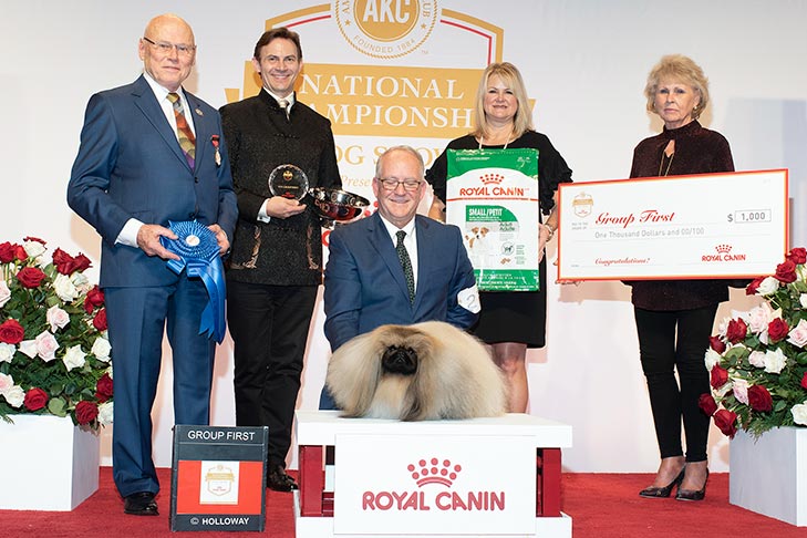 Best in Show, Toy Group First, BBE Toy Group Second, Best of Breed, and Best Bred By in Breed/Variety: GCH CH Pequest Wasabi, Pekingese; 2019 AKC National Championship presented by Royal Canin, Orlando, FL.