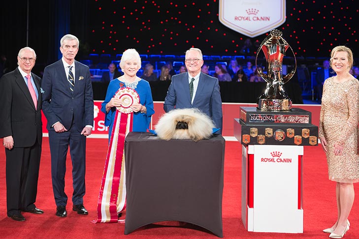 2019 Best in Show GCH CH Pequest Wasabi (Wasabi), Pekingese, handled by David Fitzpatrick; Best in Show presentation at the 2019 AKC National Championship presented by Royal Canin, Orlando, FL.