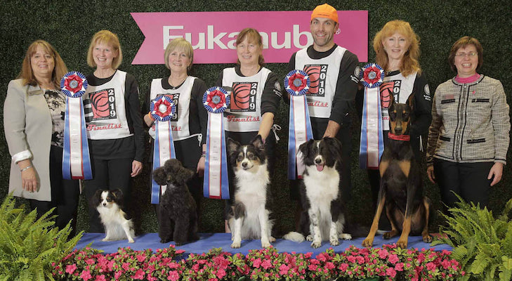 biggest siberian tiger ever