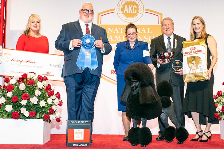 Reserve Best in Show, Non-Sporting Group First, and Best of Breed: GCHP CH Stone Run Afternoon Tea, Standard Poodle, handled by Chrystal Murray.
