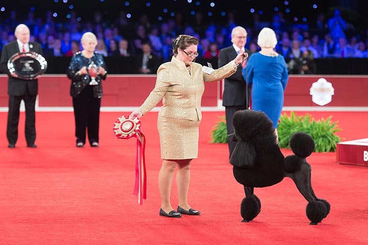 Reserve Best in Show, Non-Sporting Group First, and Best of Breed: GCHP CH Stone Run Afternoon Tea, Standard Poodle, handled by Chrystal Murray; Reserve Best in Show awards presentation at the 2019 AKC National Championship presented by Royal Canin, Orlando, FL.