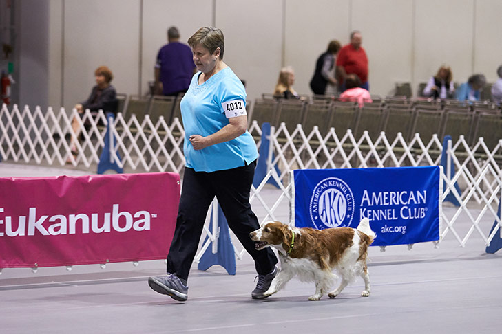 2018 Obedience Classic held in Orlando FL.