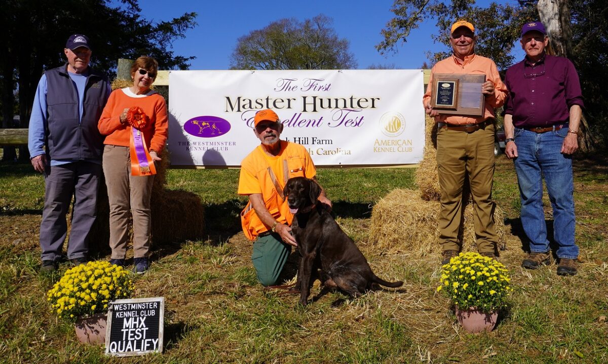 First Master Hunter Excellent Test American Kennel Club