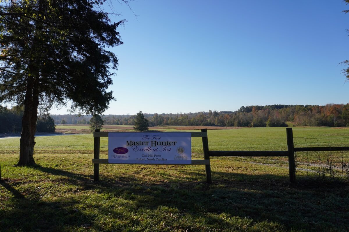 First Master Hunter Excellent Test American Kennel Club