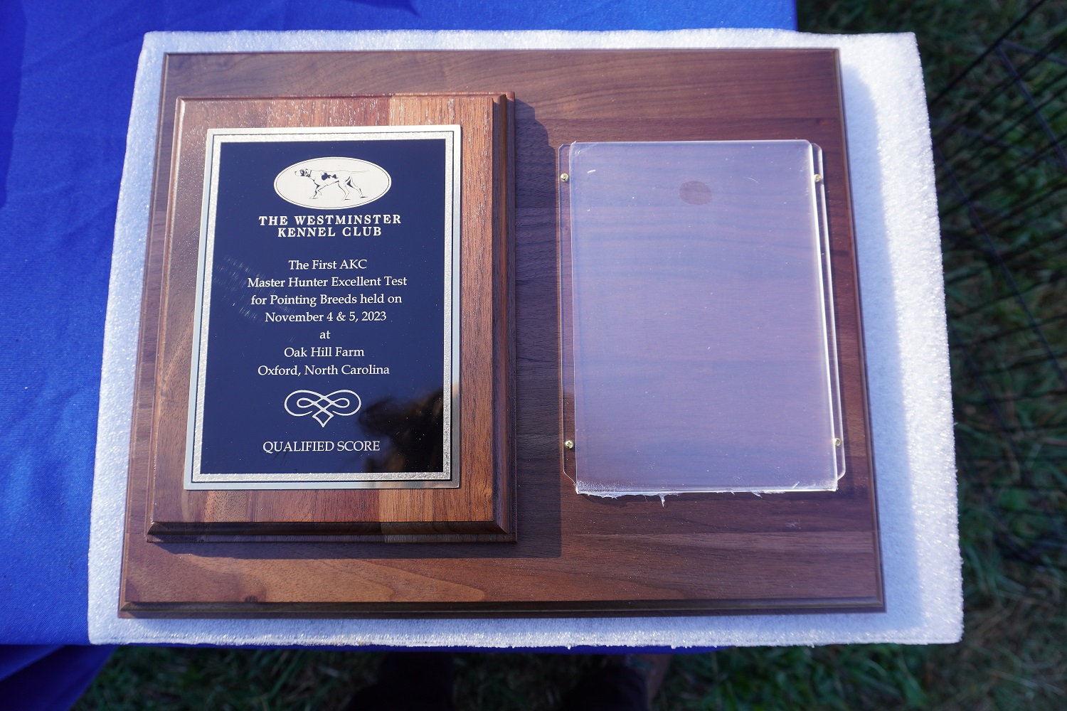 First Master Hunter Excellent Test American Kennel Club