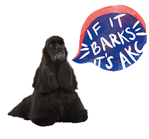 north american kennel club