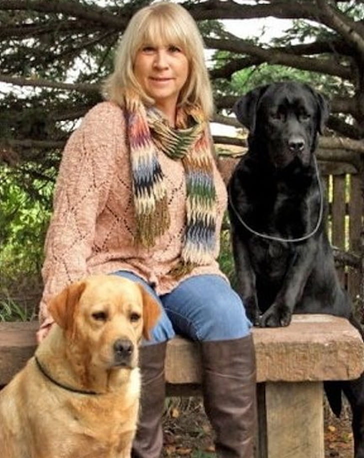 giant labrador retriever breeders