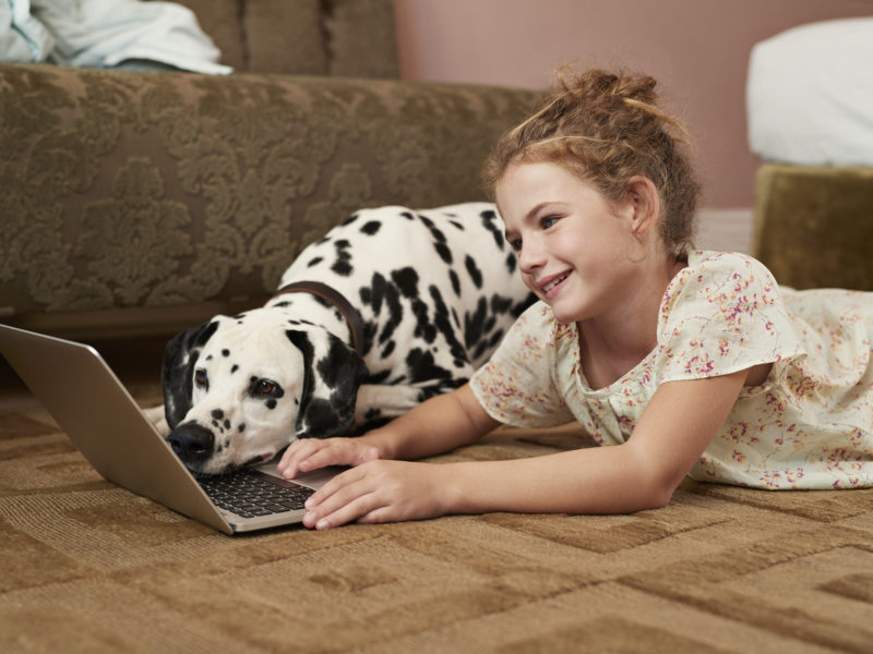 Girl on laptop with Dalmatian