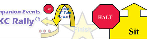 akc rally novice course