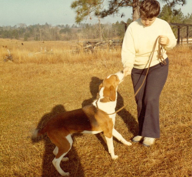 foxhound street food