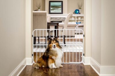 Carlson Pet Products Tuffy Expandable Gate with Pet Door