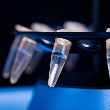 Test tubes in a lab.