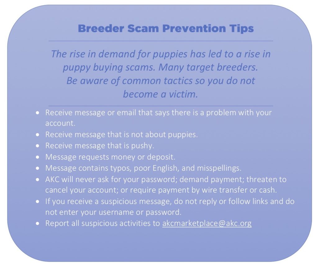 how to become akc registered breeder
