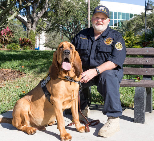 royal canin bloodhound