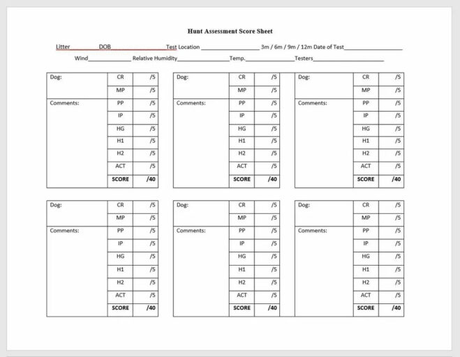 Assessment American Kennel Club