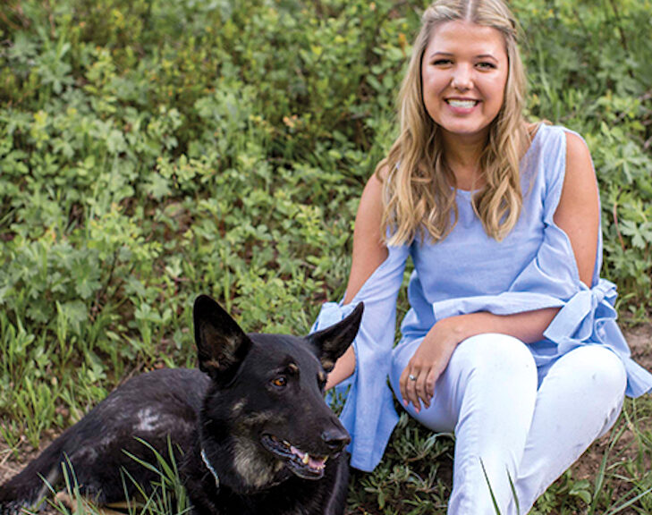 nonprofit diabetic alert dogs