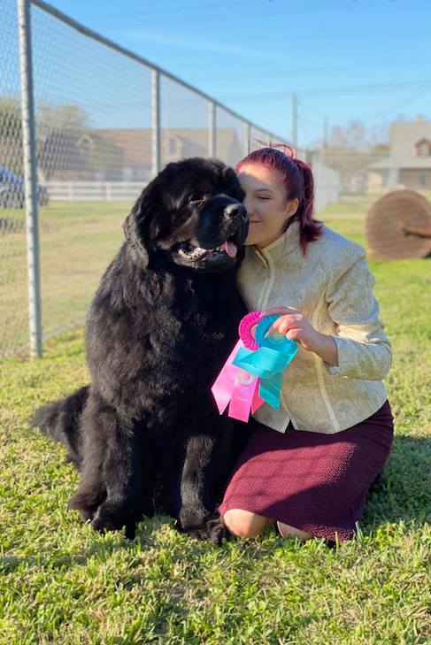 bear n mind newfoundlands