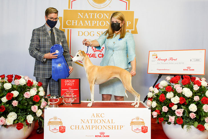 Best of Breed, Hound Group First, and Best in Show: GCHP CH Pinnacle Kentucky Bourbon (Bourbon), Whippet, handled by Cheslie Pickett Smithey.