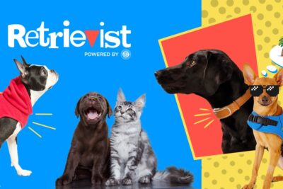 Retrievist by AKC dog product recommendations