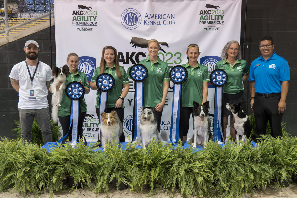 AKC Premier Cup – American Kennel Club