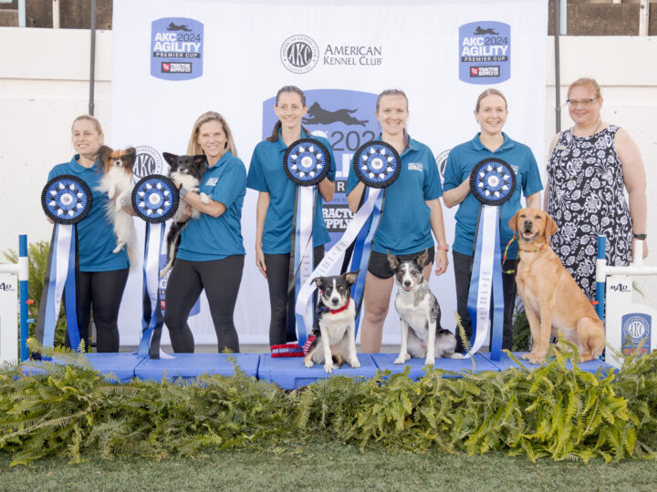 AKC Premier Cup – American Kennel Club