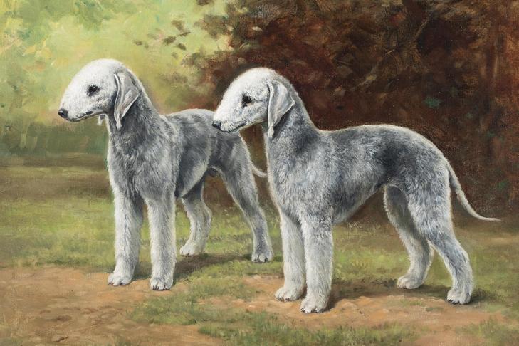 Edwin Megargee Sir Lancelot of Rowanoake and Ch. Tynesid oil on canvas 1935 Bedlington Terrier Elsie McMillan, F. & Wm. Rockefeller