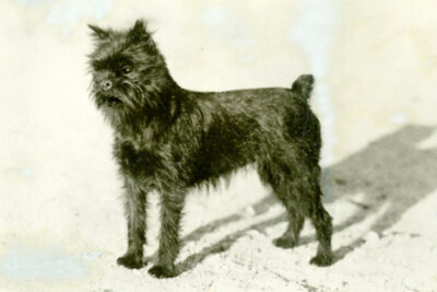 c. 1935. Owned by Bessie Mally.