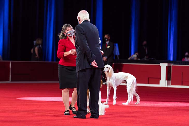Owner-Handled Best In Show, Owner-Handled Group First, and Owner-Handled Best of Breed: GCHB CH Rolyart's Navigator @ Painted Sky Farms (Captain), Welsh Springer Spaniel, and owner/handler Sharon Sherwood; 2021 National Owner-Handled Series Finals, Orlando, FL.