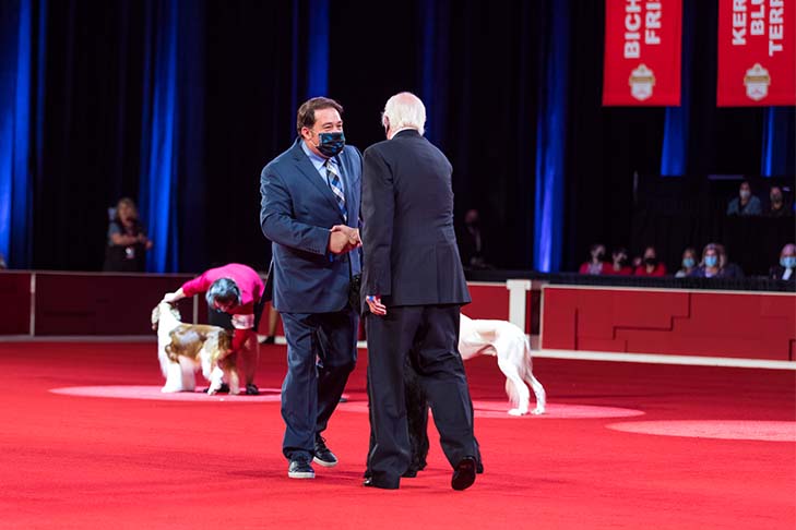 Reserve Best Owner-Handled in Show, Owner-Handled Group First, and Owner-Handled Best of Breed: GCH CH Spicerack's Shotgun Rider CGCA TKN, Giant Schnauzer, and owner/handler Dwain Henderson; 2021 National Owner-Handled Series Finals, Orlando, FL.