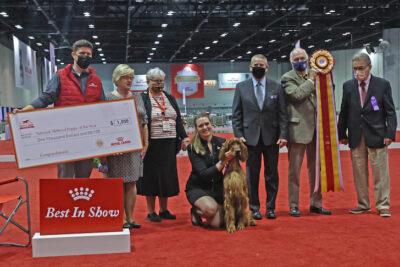 American Kennel Club visual data 2
