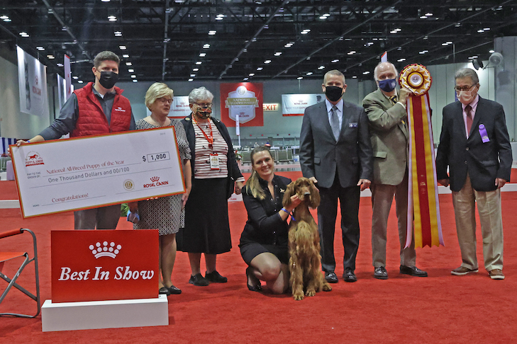 2021 AKC National Championship Presented by Royal Canin Recap 2021 AKC National Championship Presented by Royal Canin Recap