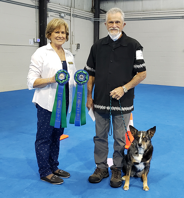 This Dog’s Love of Training Leads to UDX Title American
